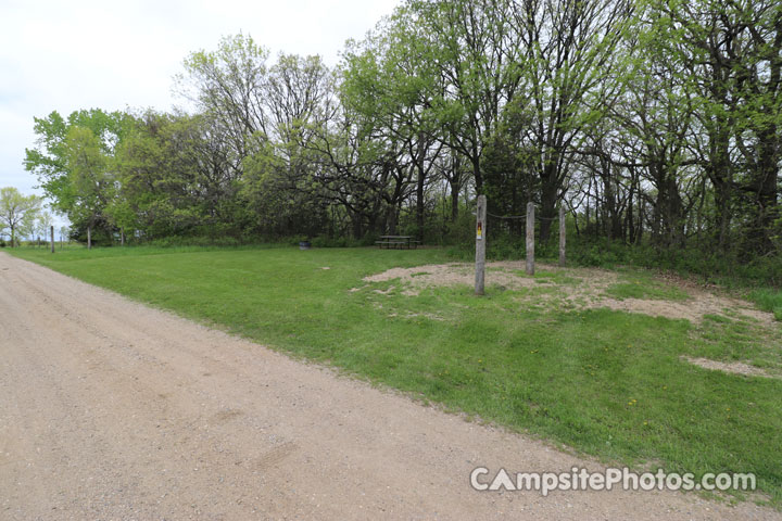 Sibley State Park Horse 004