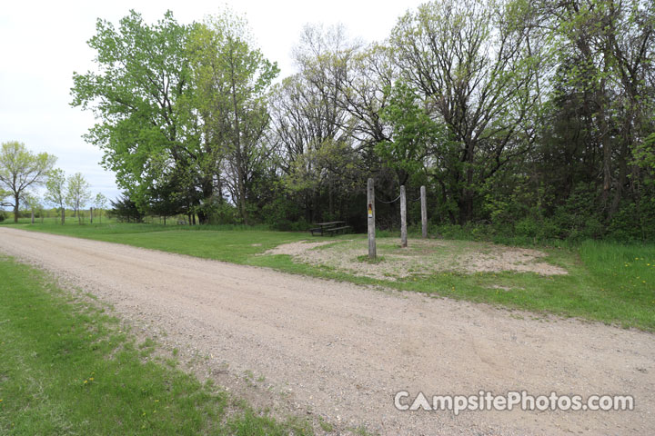 Sibley State Park Horse 005