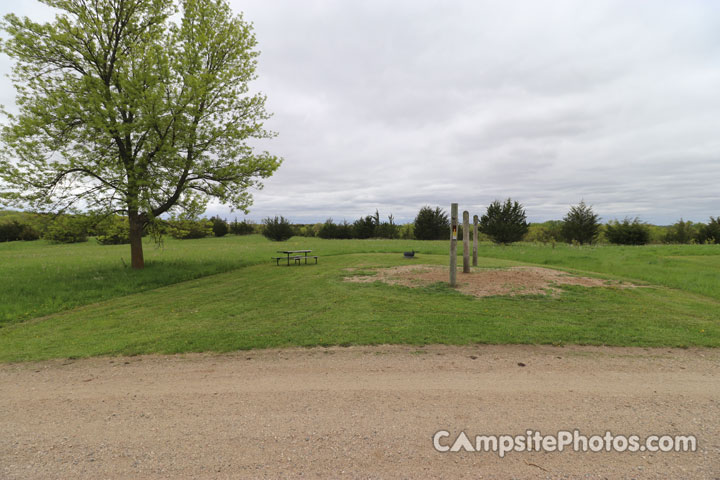 Sibley State Park Horse 008