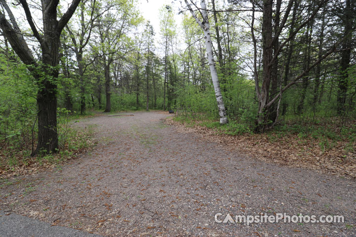 Sibley State Park Oak Ridge 075