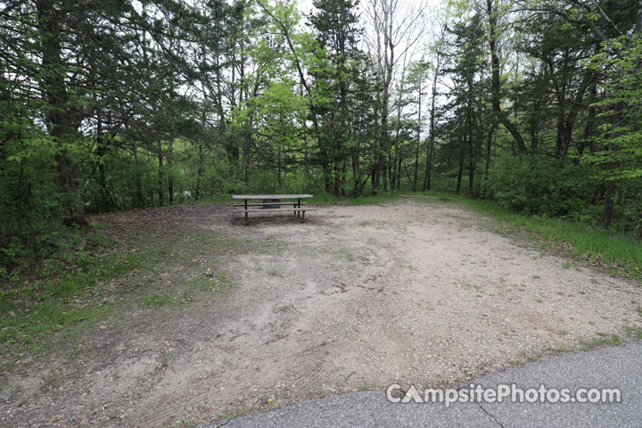 Sibley State Park Oak Ridge 076