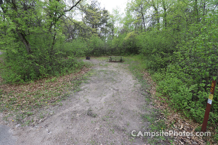 Sibley State Park Oak Ridge 082