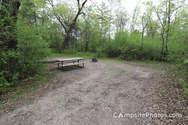 Sibley State Park Oak Ridge 084