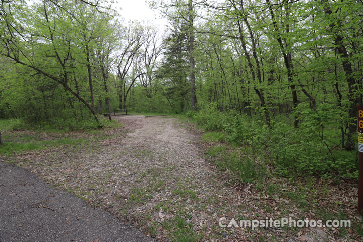 Sibley State Park Oak Ridge 086