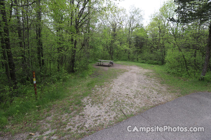 Sibley State Park Oak Ridge 089