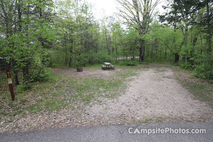 Sibley State Park Oak Ridge 091