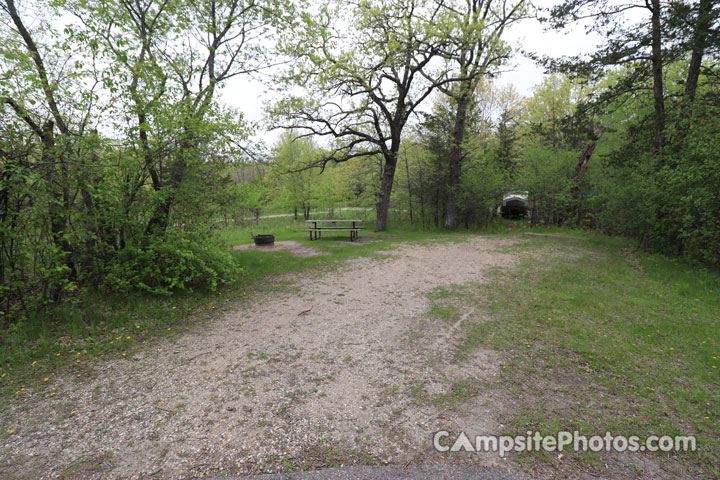 Sibley State Park Oak Ridge 092