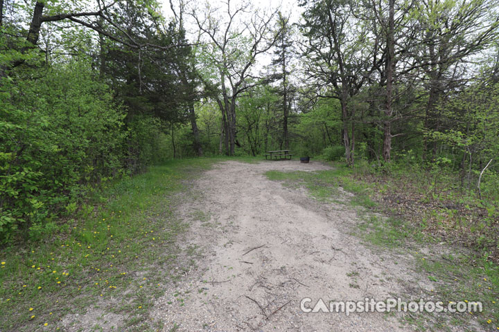 Sibley State Park Oak Ridge 093