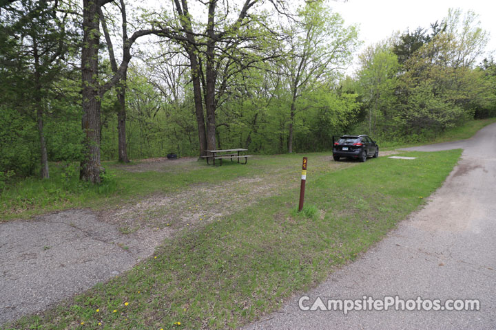 Sibley State Park Oak Ridge 095