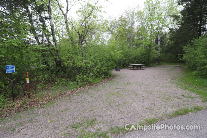 Sibley State Park Oak Ridge 098