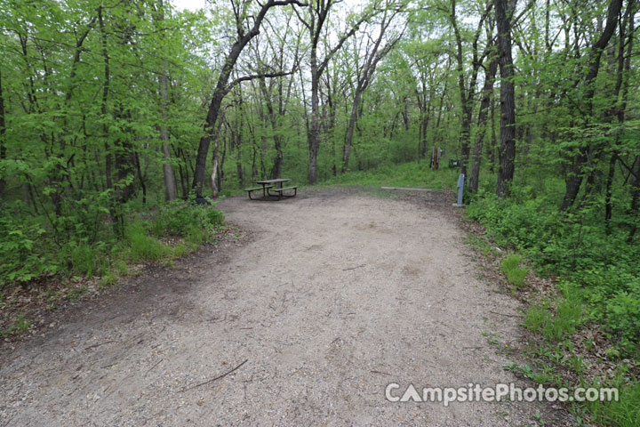 Sibley State Park Oak Ridge 108