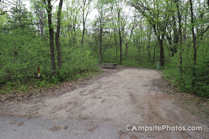 Sibley State Park Oak Ridge 114