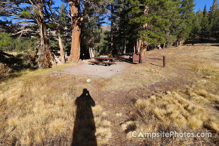 Sawmill Walk-In Campground 007