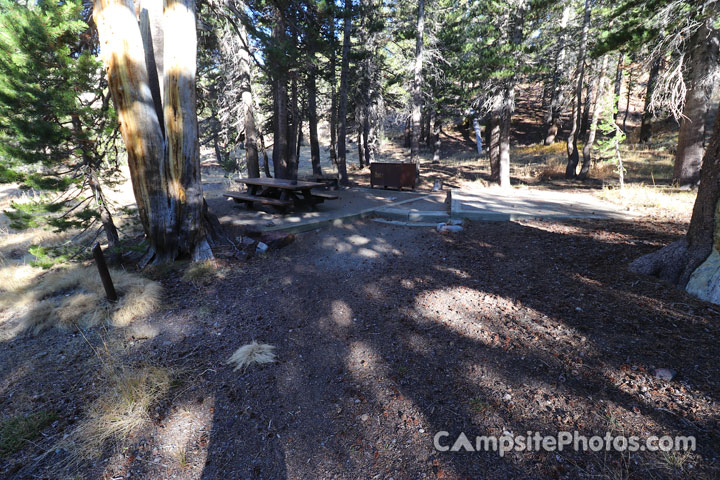 Sawmill Walk-In Campground 009