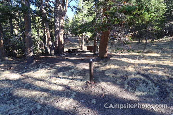 Sawmill Walk-In Campground 011