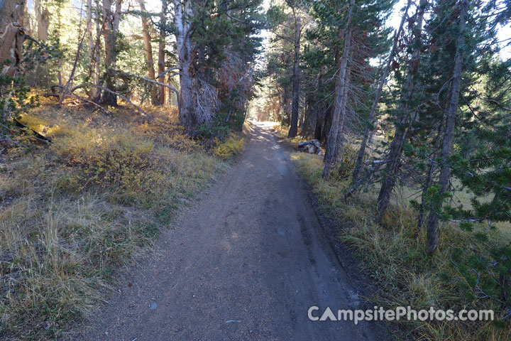 Sawmill Walk-In Campground Trail to Camps