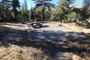 Sawmill Walk-In Campground 005