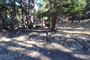 Sawmill Walk-In Campground 011