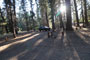 Stanislaus River Campground 025