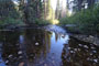 Stanislaus River Campground River View