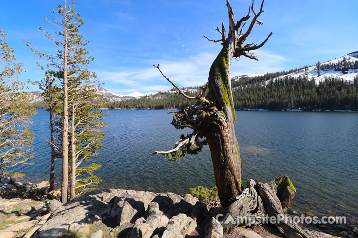 Caples Lake Campground Lake View