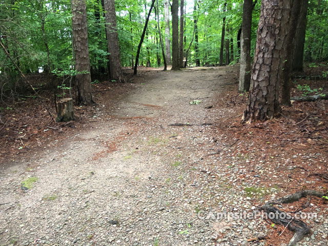 Kerr Lake Recreation Area Hibernia 054