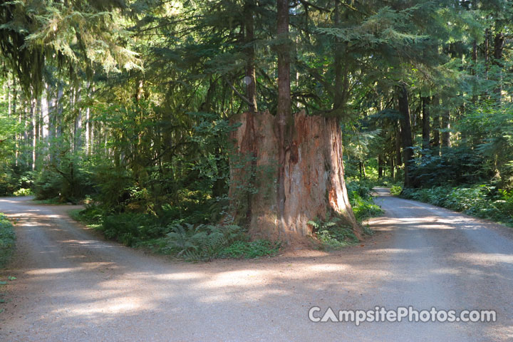 Klahowya Campground View