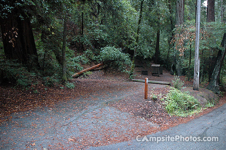 Portola Redwoods SP 044