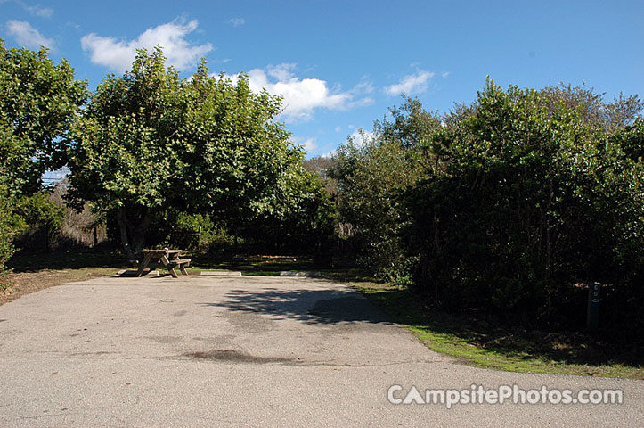 San Simeon SP Creek 060