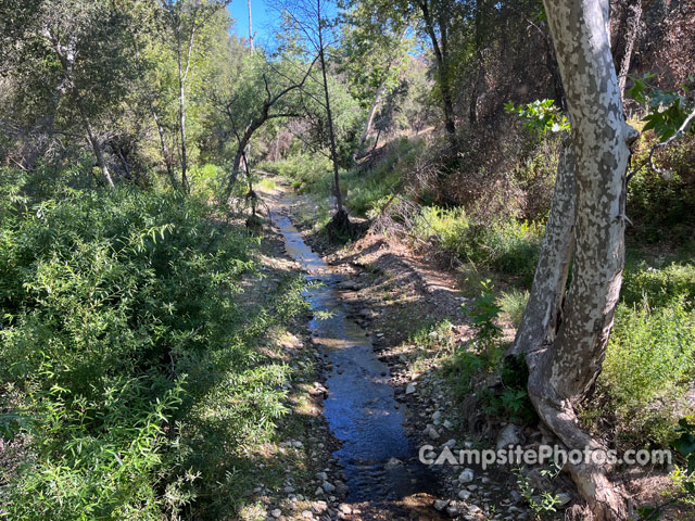 Ponderosa Campground Creek View