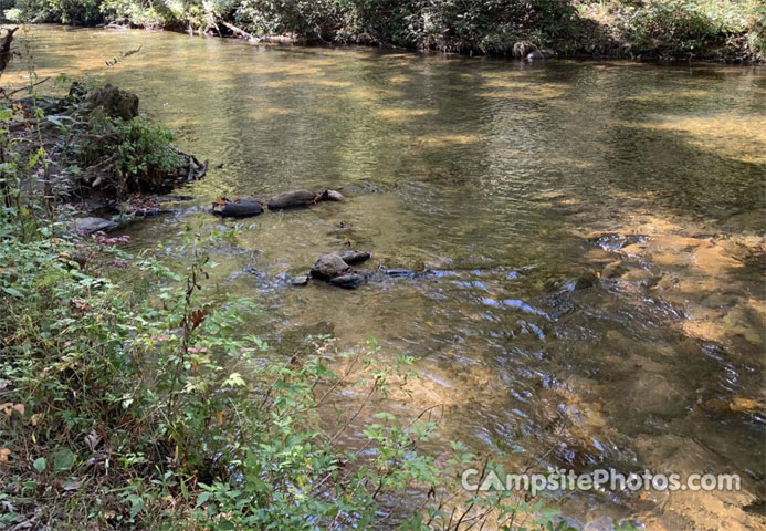 Cooper Creek View