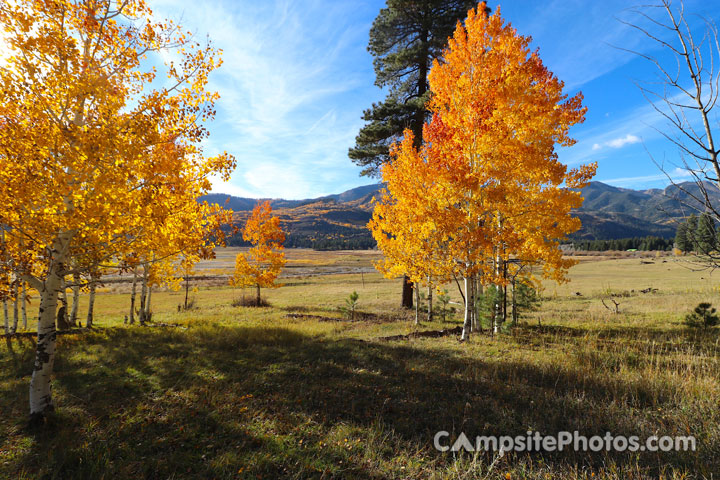 Middle Mountain Campground Scenic