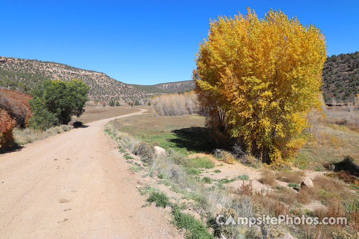 Bradfield Campground View