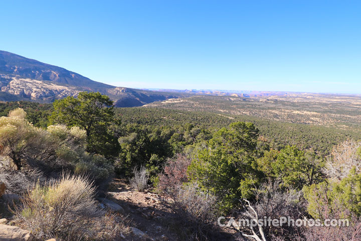 Dalton Springs Campground View