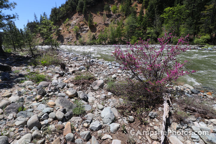 Trinity River Campground Trinity River