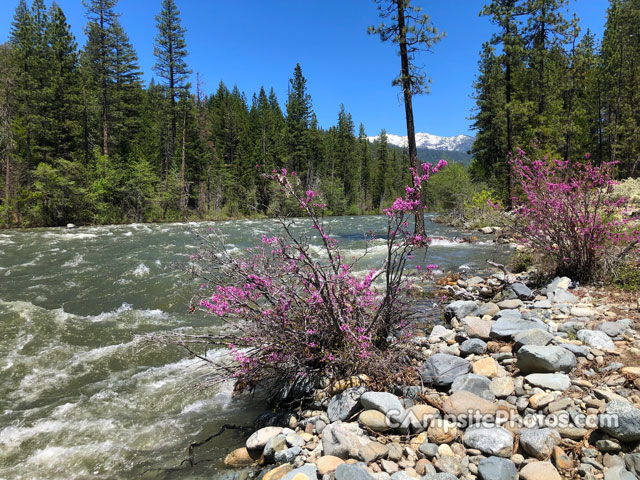 Trinity River Campground Trinity River Scenic