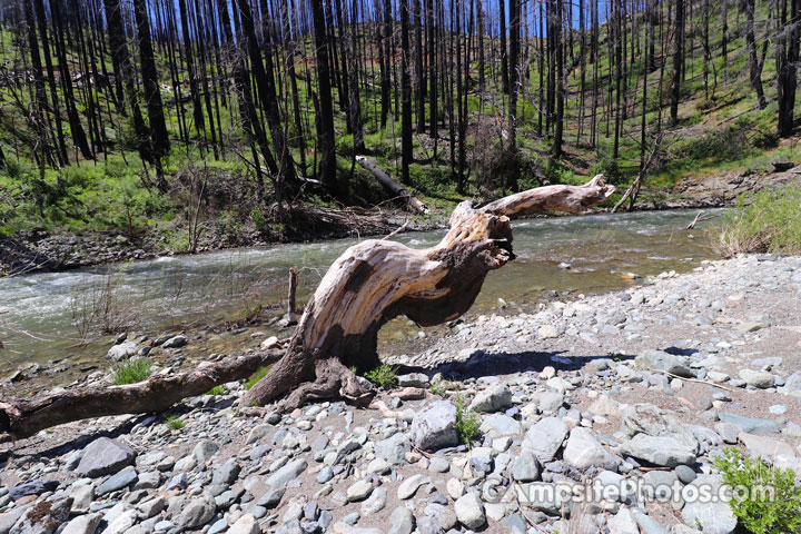 Hell Gate Campground Trinity River Burn