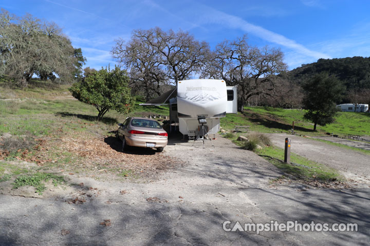 Lopez Lake Bandtail 016