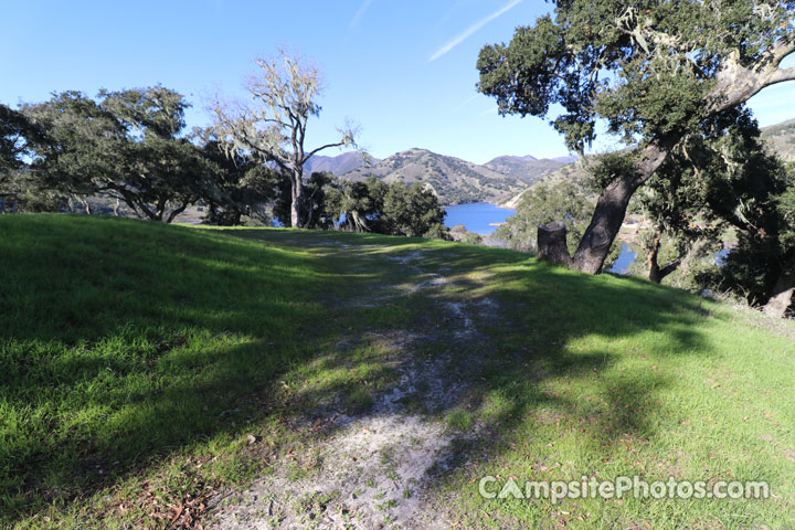 Lopez Lake Buck 014