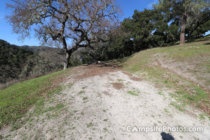 Lopez Lake Cougar 007