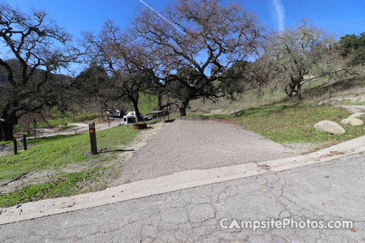 Lopez Lake Eagle 031