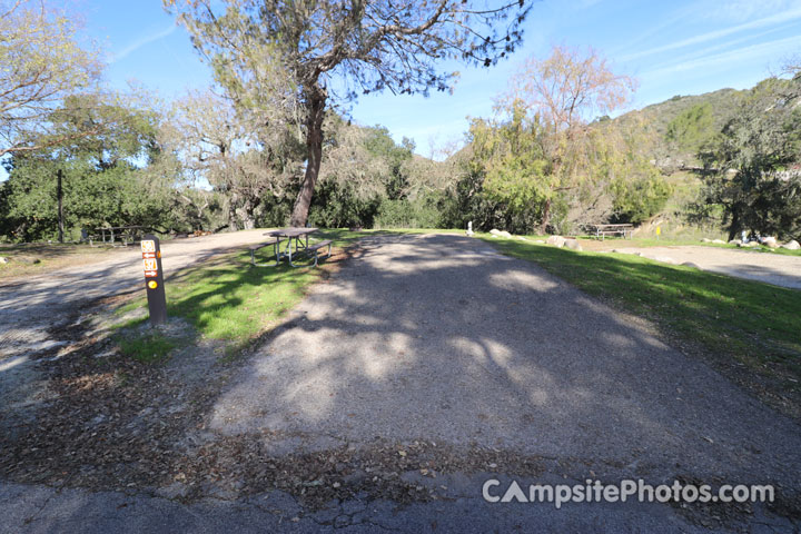 Lopez Lake Eagle 037