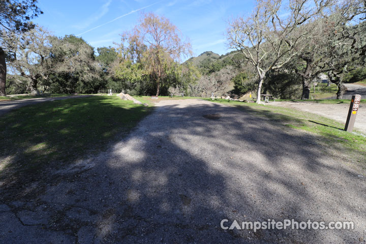 Lopez Lake Eagle 038