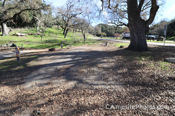 Lopez Lake Quail 003