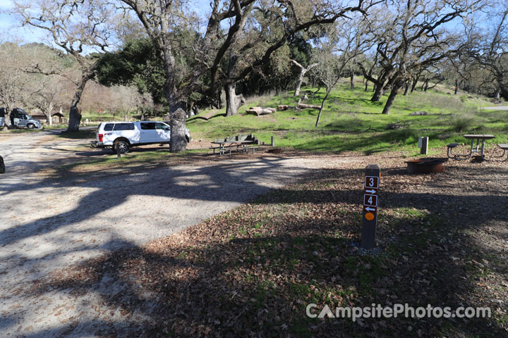 Lopez Lake Quail 004