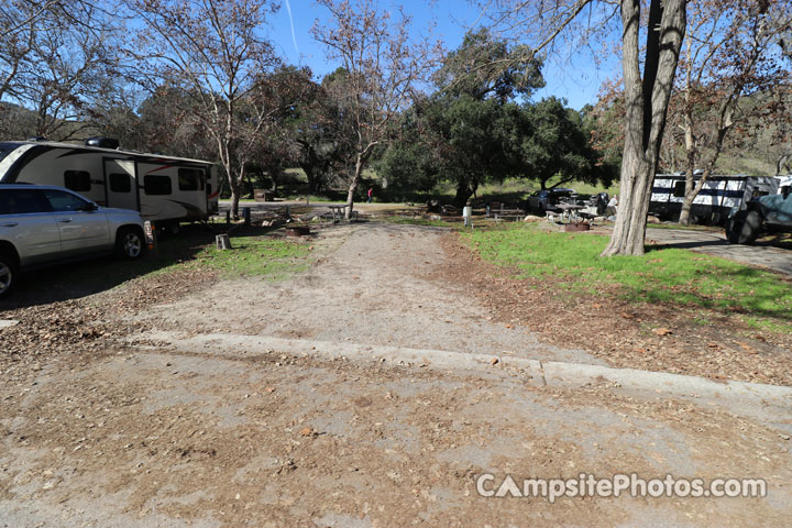 Lopez Lake Quail 010