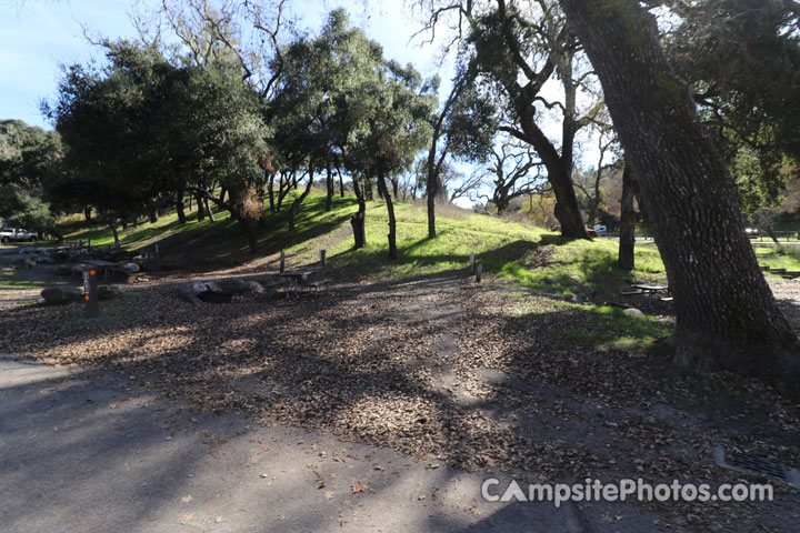 Lopez Lake Quail 011