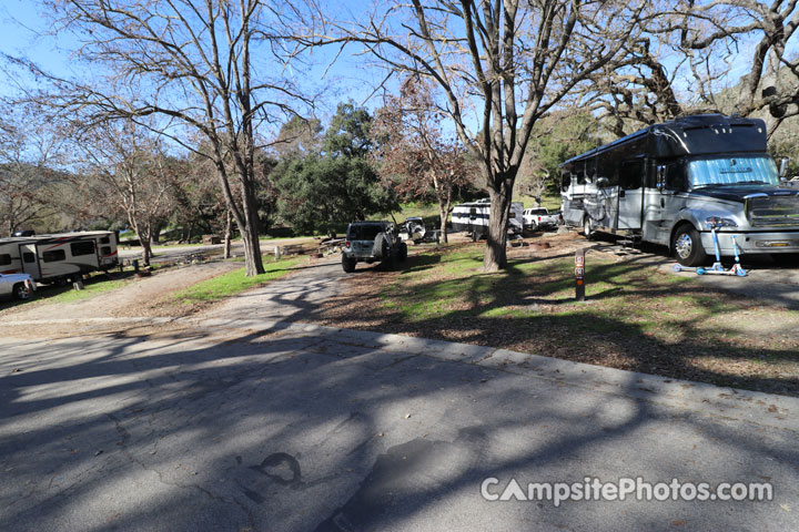 Lopez Lake Quail 013