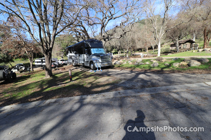 Lopez Lake Quail 014