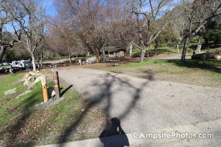 Lopez Lake Quail 018